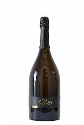 Víno Turek & Šiška SEKT THEA 2019 - 1,5 l